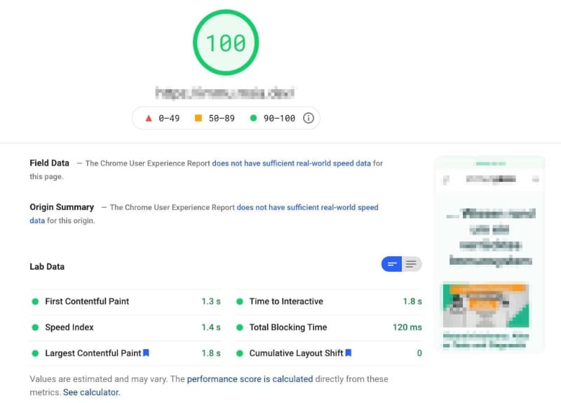 PageSpeed Insights 100 with Simple Optimization