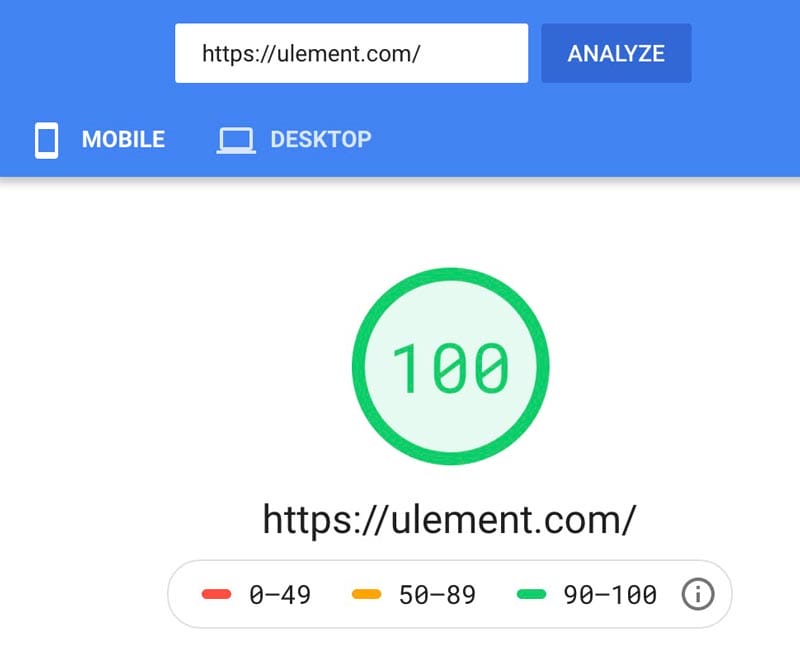 Google Page Speed Insights 100